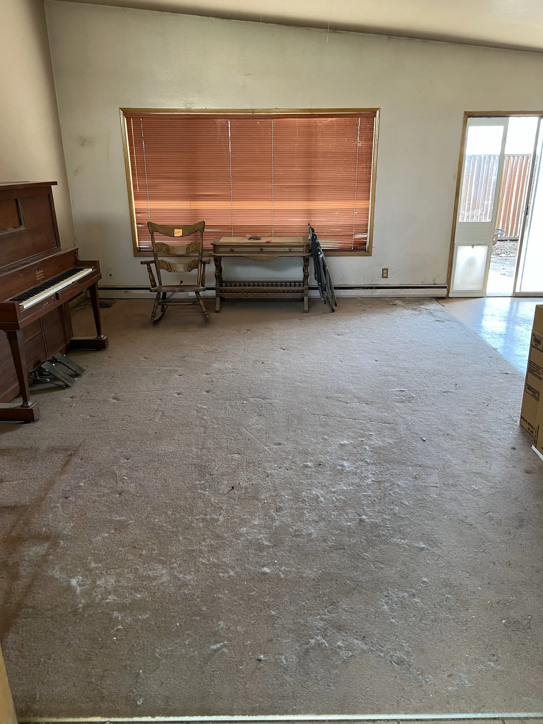 The same living room emptied down to the floor, with light coming through the window